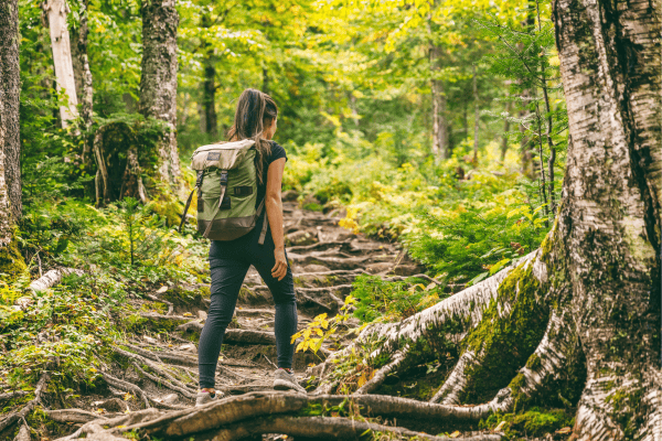 Mantendo-se Seguro no Trekking: Dicas Práticas e Conselhos Úteis