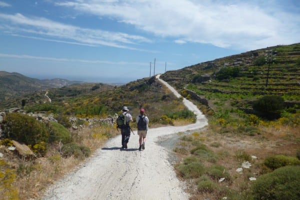 Trekking com animais de estimação